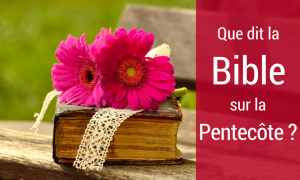 La Pentecôte Bible-Pentecôte-300x180