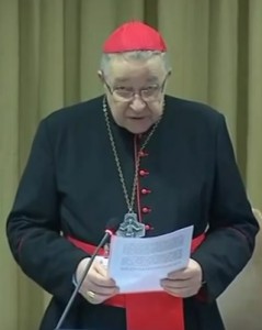 cardinal André Vingt-Trois 