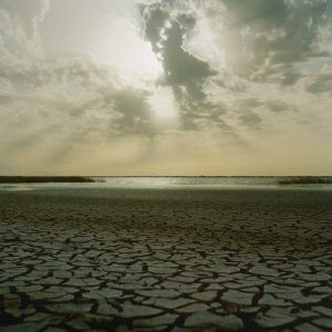 2005: Assèchement du fait du réchauffement climatique, au bord du lac de Guiers, parc du Djoudj, au nord du Sénégal, Afrique.