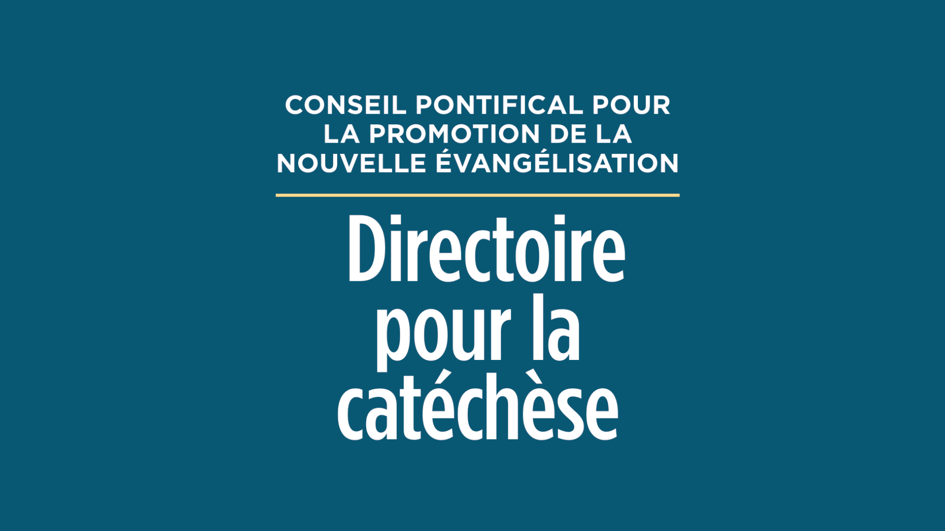 Directoire Pour La Catechese Edition Document Officiel