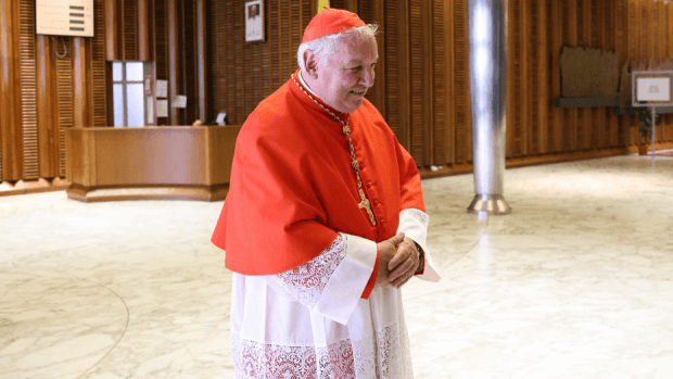 Cardinal Aveline