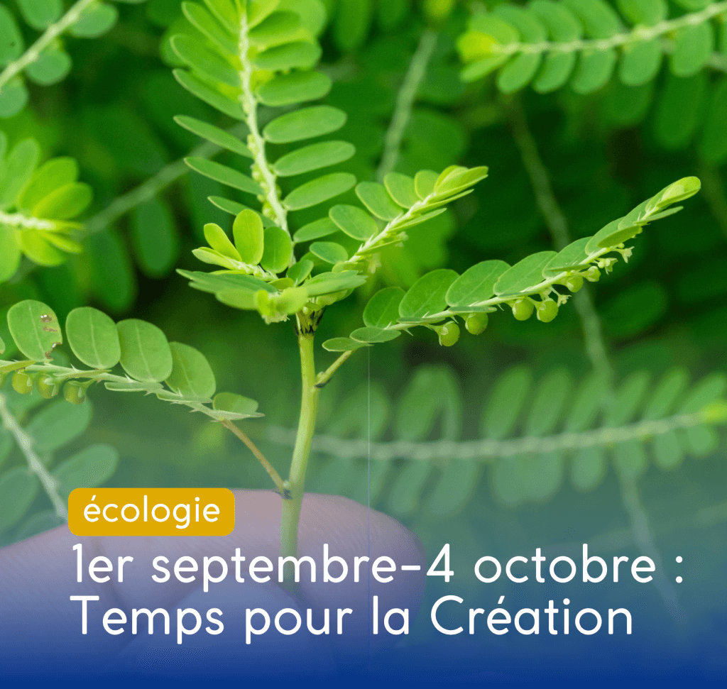 Temps pour la Création dès le 1er septembre