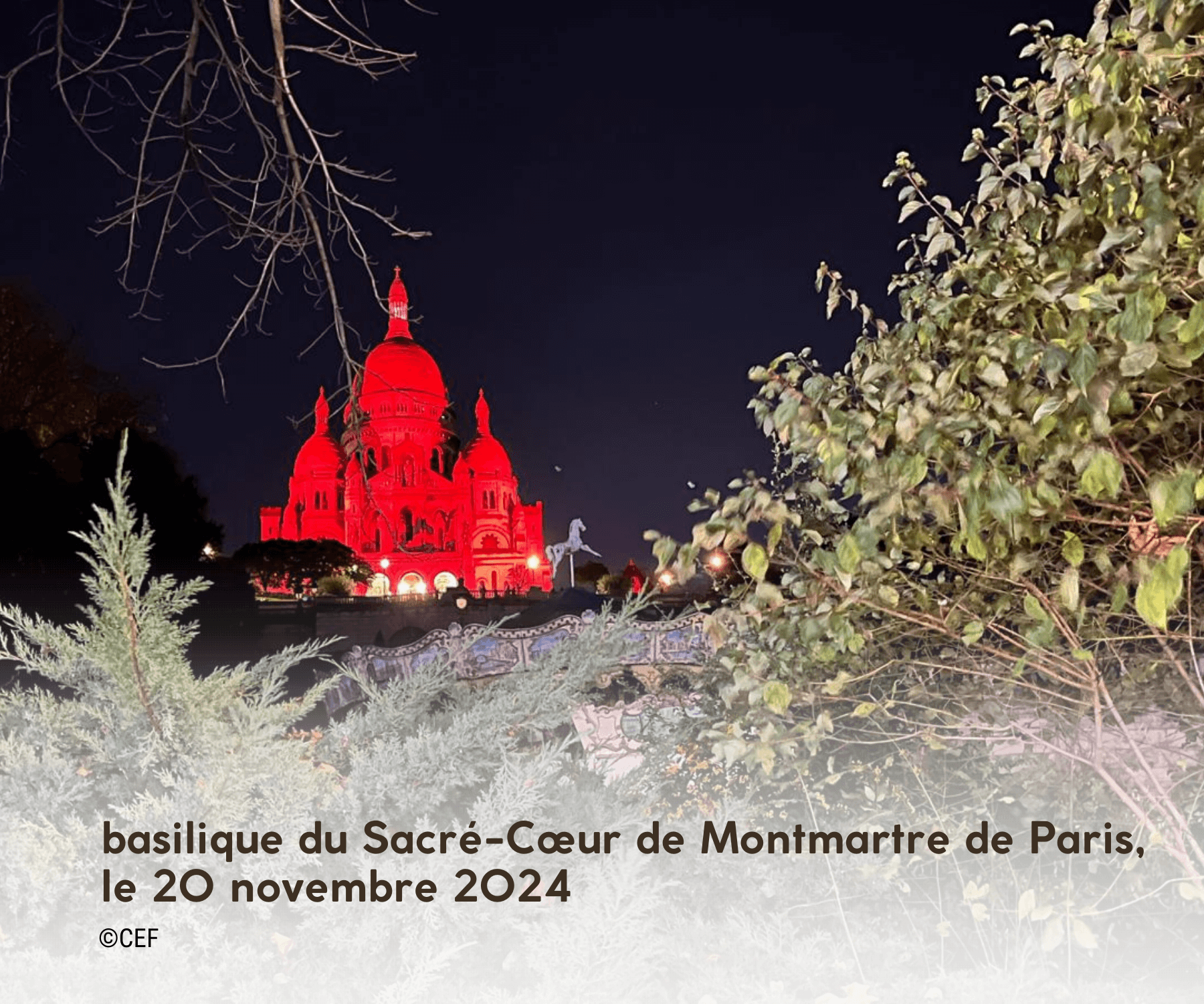 basilique Sacré-Coeur de Montmartre, Red week de l'AED