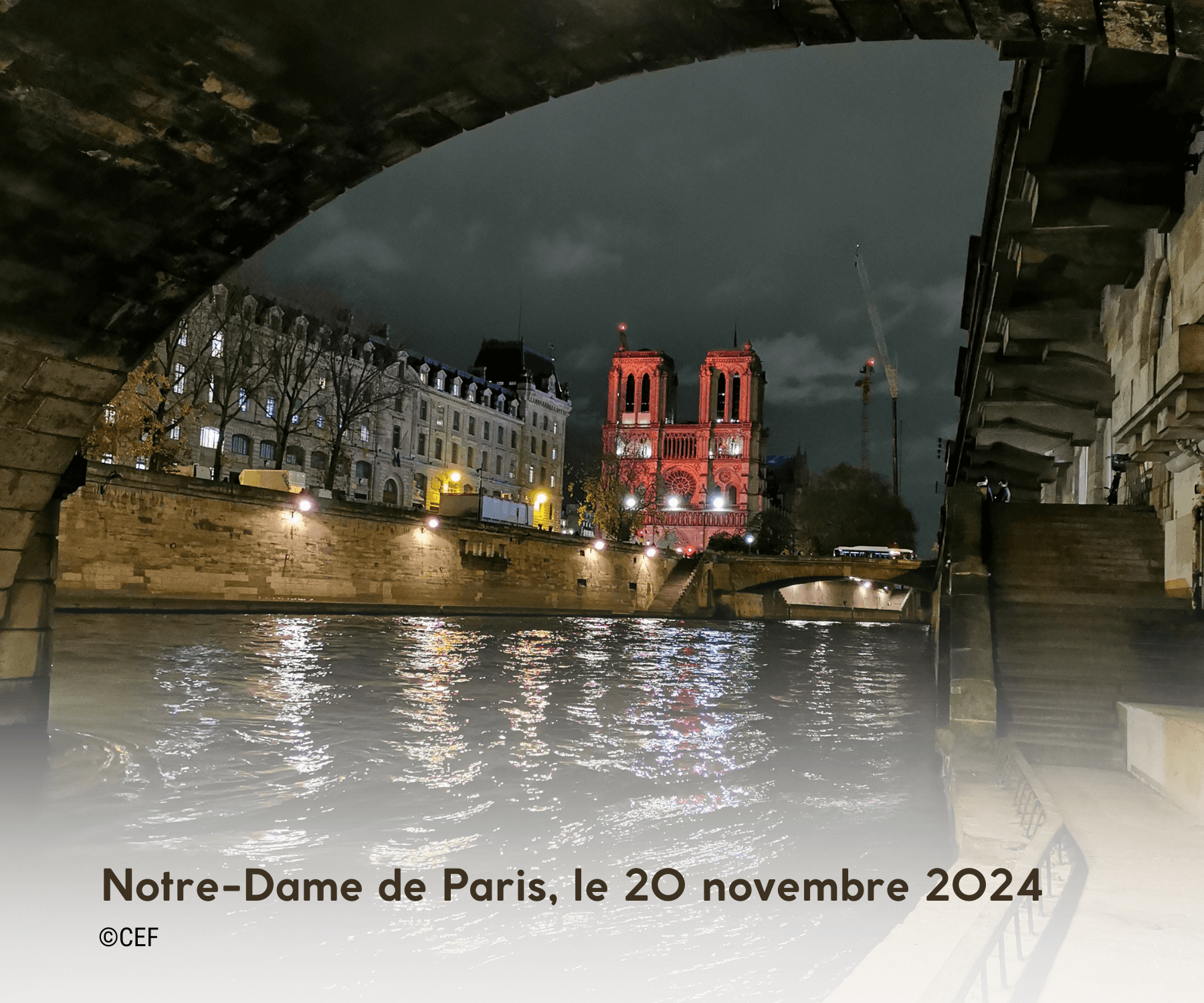 Notre-Dame de Paris en Red week pour l'AED