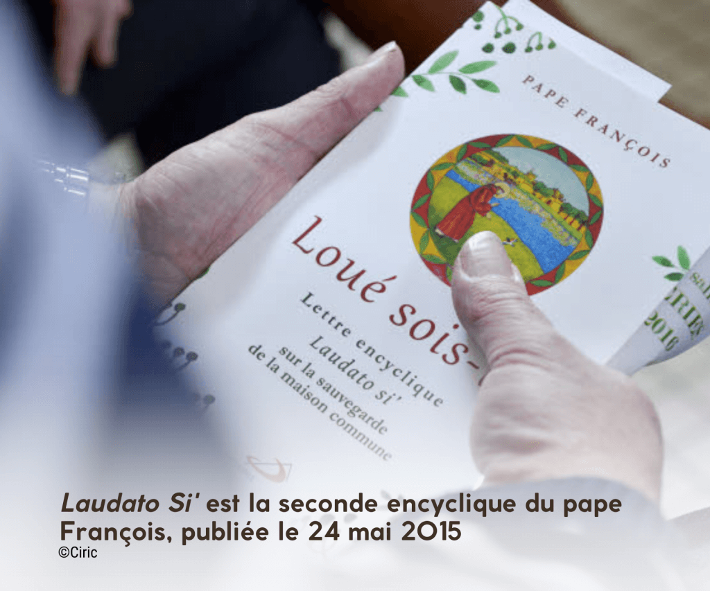 image représentant la couverture de Laudato Si' du Pape François