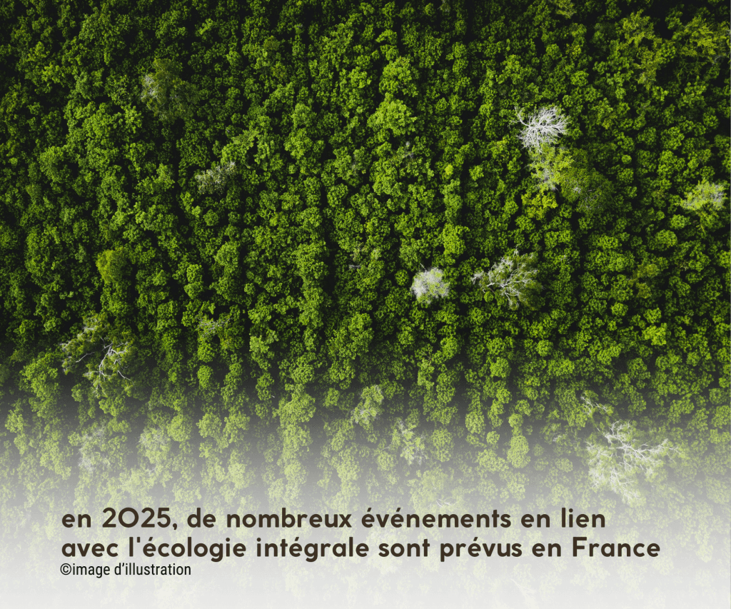 forêt pour illustrer qu'en 2025 de nombreux évènements en lien avec l'écologie intégrale