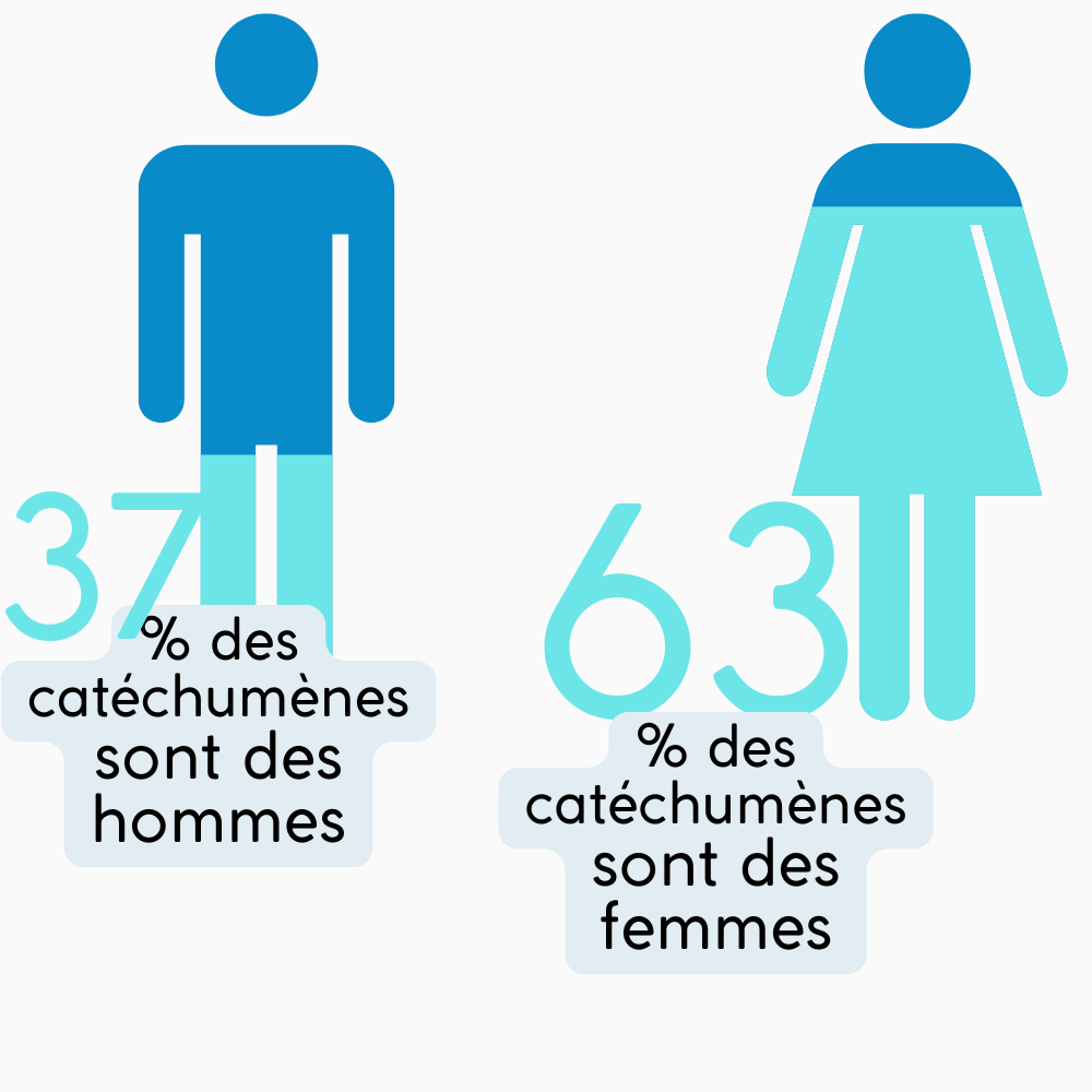 Site EC - infographie - format court (1)