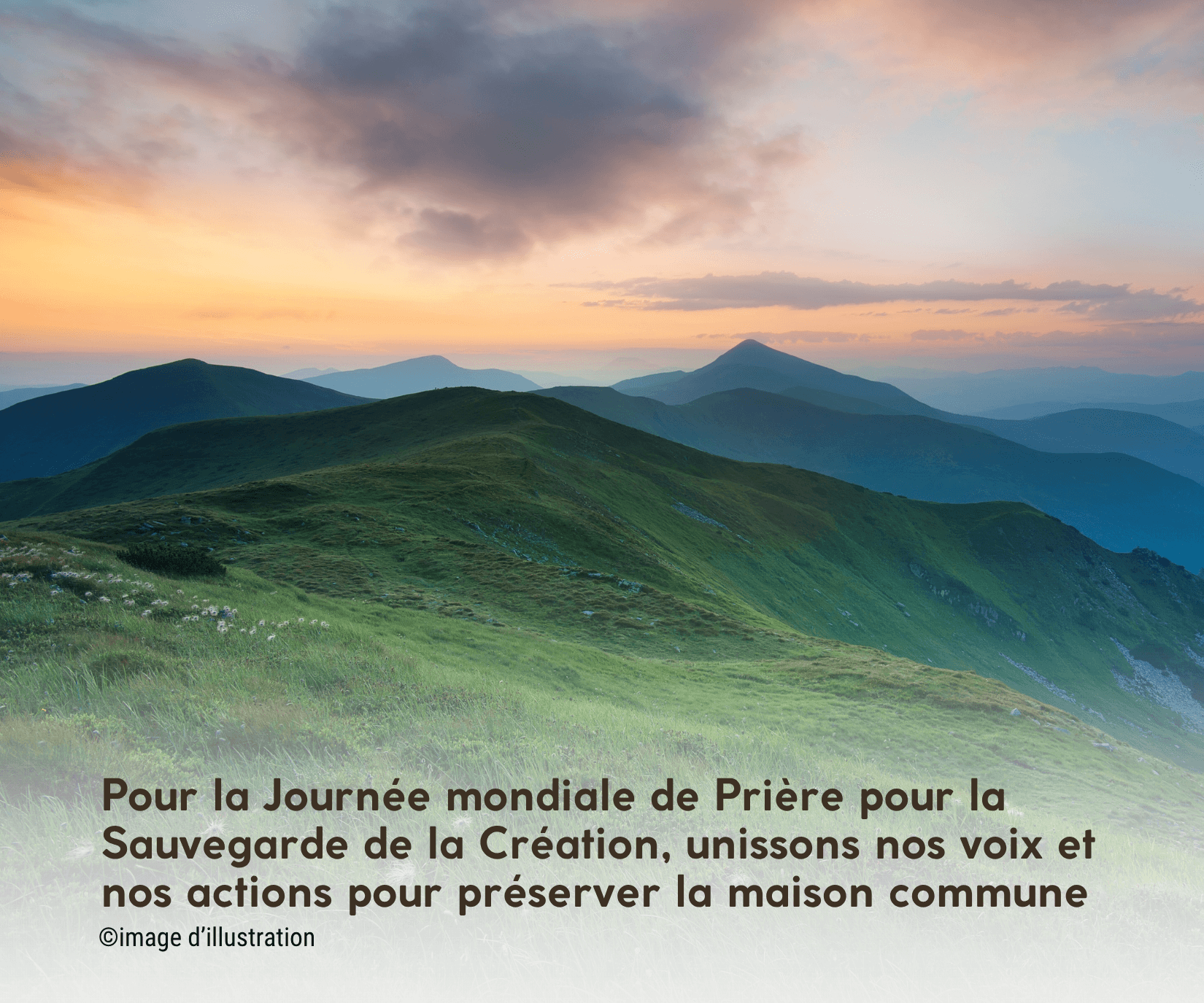 Message du Saint-Père pour la Journée mondiale de prière pour la ...