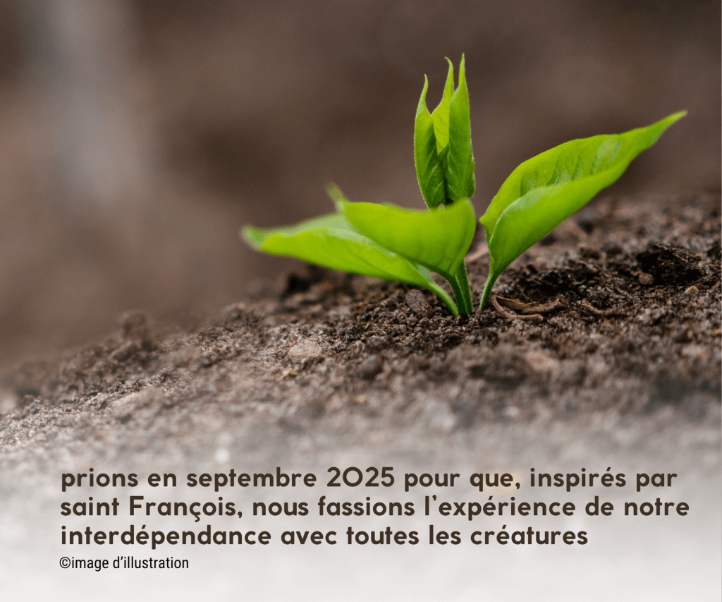 septembre 2025 : intention de prière du Pape intention de prière de septembre 2025