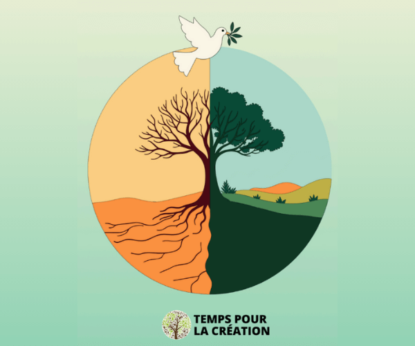 Site - visuels - accueil de pages (7)