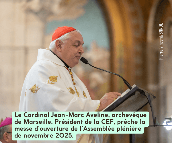 Le Cardinal Jean-Marc Aveline, archevêque de Marseille, Président de la CEF, prêche la messe d’ouverture de l’Assemblée plénière de novembre 2025.