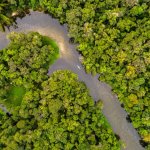 prière pour la COP30