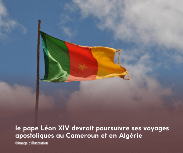drapeau du Cameroun