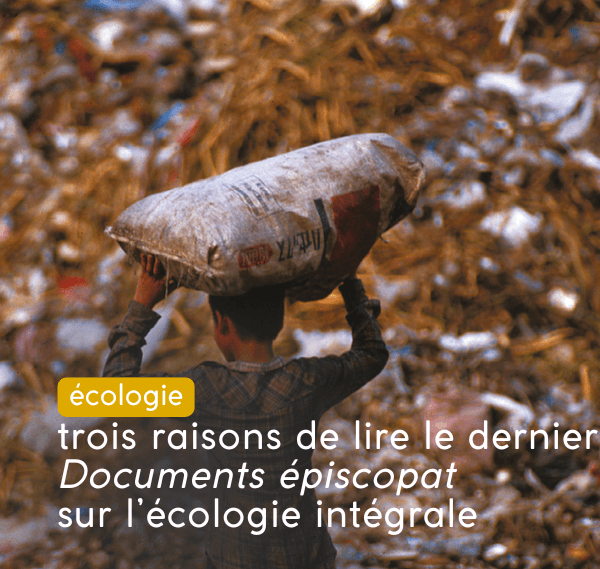 écologie : 3 raisons de lire le dernier Documents épiscopat sur l'écologie intégrale