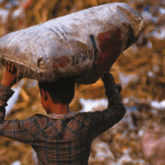 Documents épiscopat : l'écologie intégrale, passer de l'ethos du dechet à la culture du soin