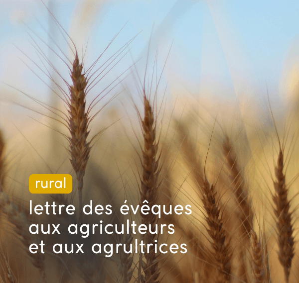 vignette - lettre des évêques aux agriculteurs et agricultrices