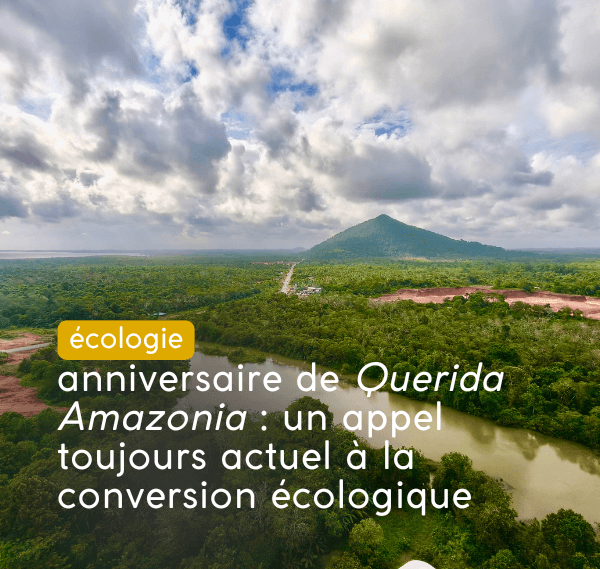 Querida Amazonia