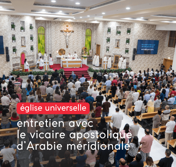 entretien avec le vicaire apostolique d'Arabie meridionale