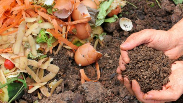 prions en mai 2026 pour réduire le gaspillage alimentaire