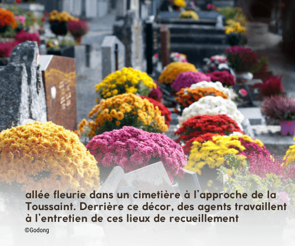 allée fleurie d'un cimetière à l'approche de la Toussaint allée fleurie d'un cimetière à l'approche de la Toussaint