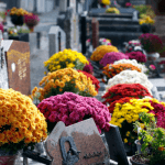 allée fleurie d'un cimetière à l'approche de la Toussaint