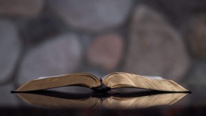 Dimanche de la Parole de Dieu