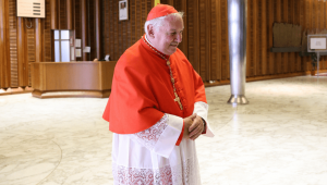 Cardinal Aveline
