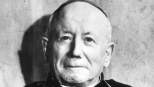 Cardinal Saliège
