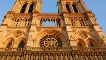 Cathédrale Notre-Dame de Paris