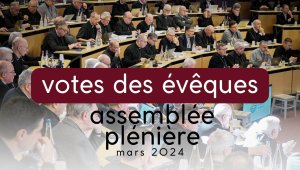 vôtes des évêques ap lourdes mars 2024