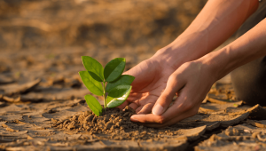 prions en septembre 2024 pour le cri de la Terre