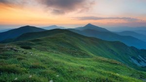 10e édition de la Journée mondiale pour la Sauvegarde de la Création